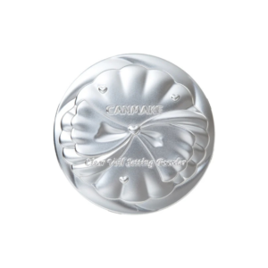 [NEW] CANMAKE Clear Veil Setting Powder